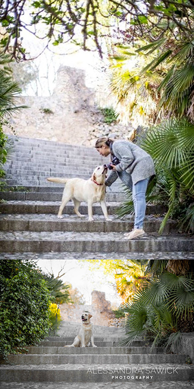 Best Naples Pet Photographer
