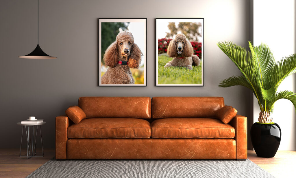 Untitled design - 5 Dog Portrait Album in Naples, FL
